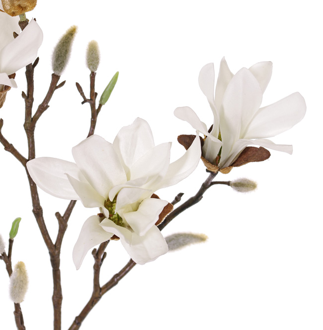 Flores y plantas artificiales mayorista - Top Art Int. | Detailansicht |  Ramas de flor | Magnolia stellata (magnolia estrellada), 4 flores, 60cm