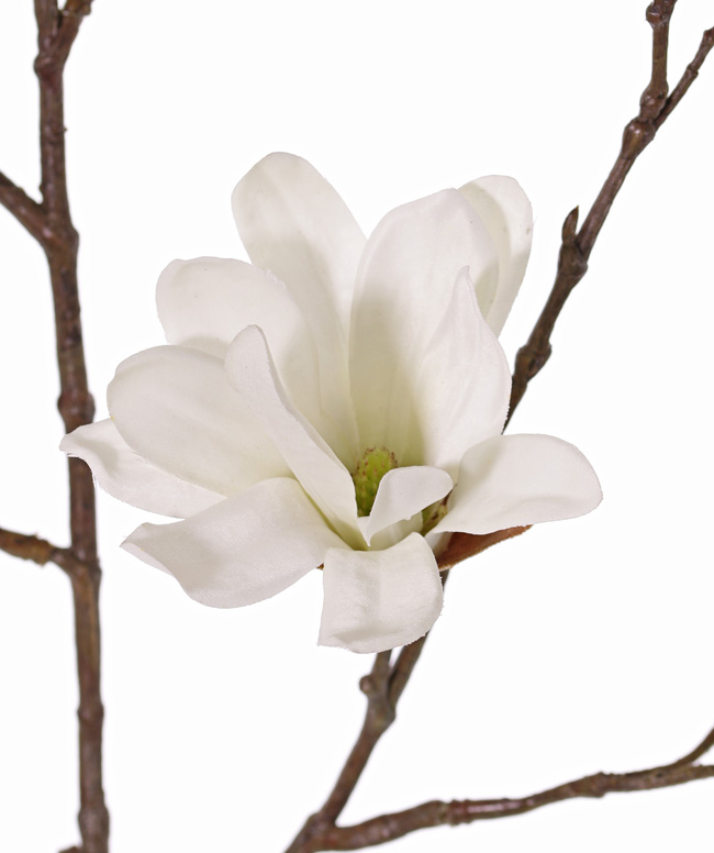 Flores y plantas artificiales mayorista - Top Art Int. | Detailansicht |  Ramas de flor | Magnolia stellata (magnolia estrellada), 6 flores & 12  capullos, 96,5cm