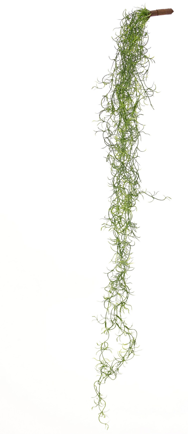 Planta colgante Tillandsia artificial