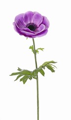Kunstblumen Kunstpflanzen - Top Detailansicht Art Seidenblumen, (most 11cm) | | | Int. Blätter, | Top Blume, Anemone \