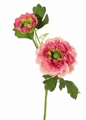 Renoncule, 2 fois ramifiée avec 2 fleurs en polyester (Ø 8 & 5 cm) & 1 bouton, 7 feuilles, 46 cm