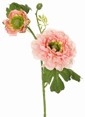 Renoncule, 2 fois ramifiée avec 2 fleurs en polyester (Ø 8 & 5 cm) & 1 bouton, 7 feuilles, 46 cm