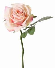 Rose de luxe "Fleuri", Ø 12cm, 5 feuilles, 30cm