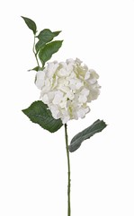 Hortensia "Spring Dream" 1 bloem met 96 petals, 10 bladeren, 78cm, Ø 15cm - ACTIE