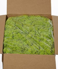 Icelandic moss (reindeer moss), box of 5 kg, packed in a plastic bag, for approx. 1 square meter