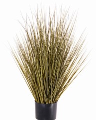 Grass bush in pot, 75 cm