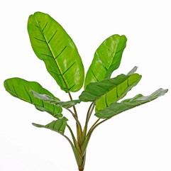 Planta de banano (Musa) 8 hojas, 2sm/2me/4lg, (PE soft plastic), UV resistente, 55cm