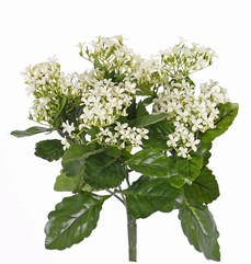 Kalanchoebusch, 25 Blütenstände (Plastik) & 70 Blätter aus Polyester, 34cm, UV-sicher